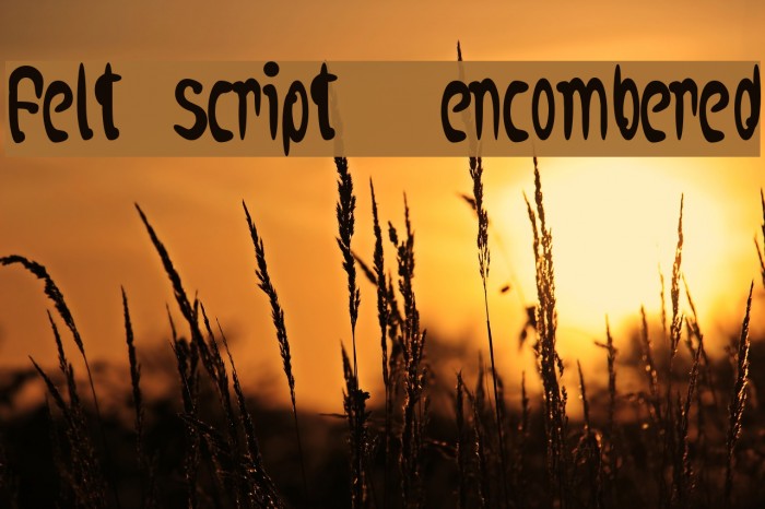 felt script  encombered Example 3
