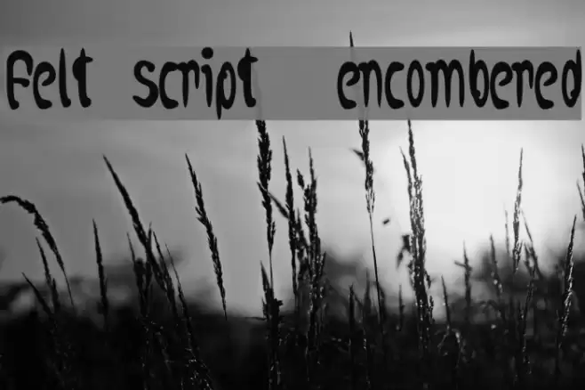 felt script encombered Font examples