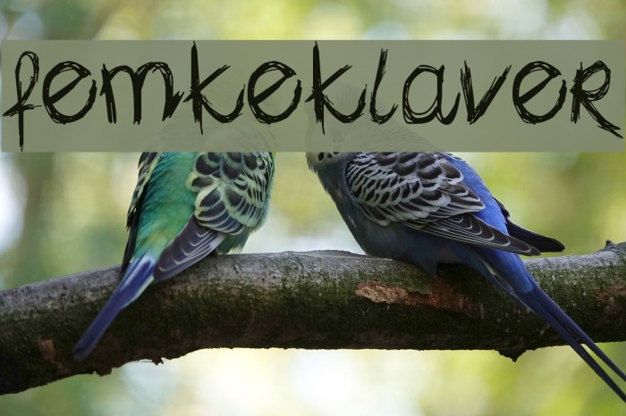 femkeklaver Font examples
