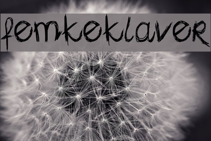 femkeklaver Font examples