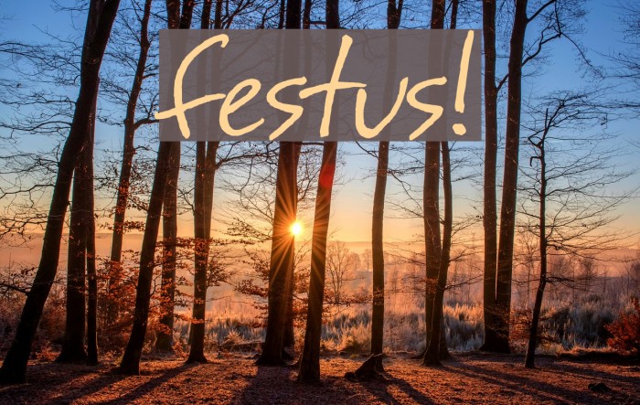 festus! Font examples