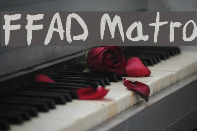 FFAD Matro Example 2