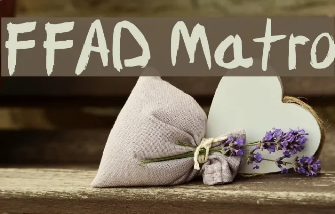 FFAD Matro Example 3
