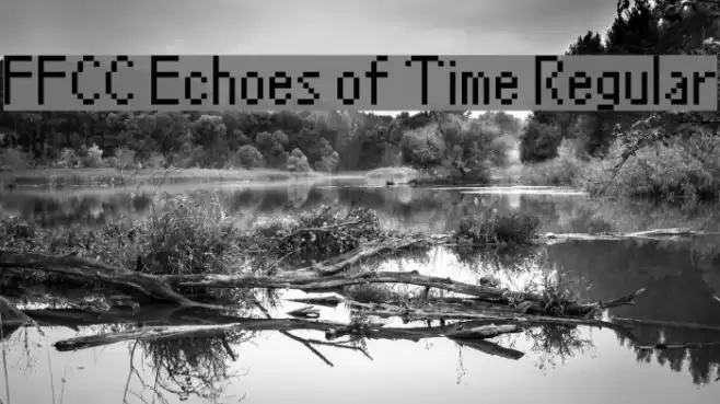 FFCC Echoes of Time Regular Font examples