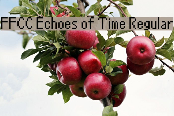 FFCC Echoes of Time Regular Example 3