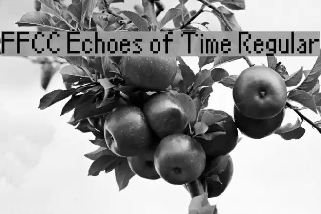 FFCC Echoes of Time Regular Font examples