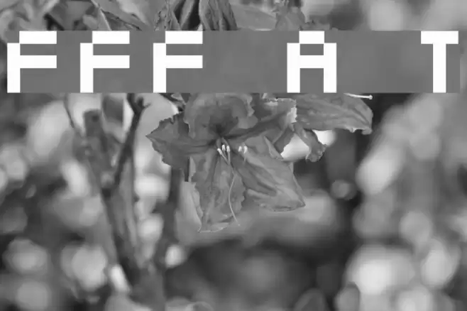 FFF Atlantis Trial Font examples