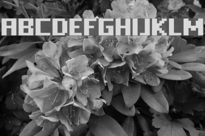 FFF Freedom Font examples