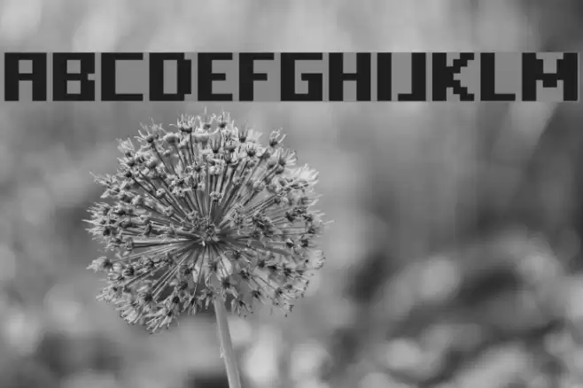 FFF Freedom Font examples