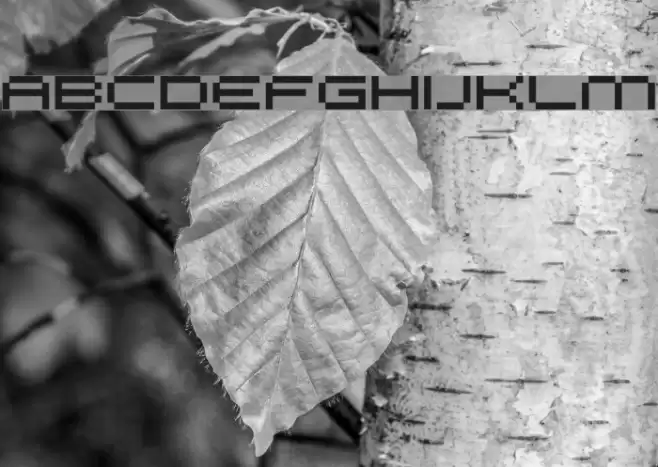 FFF Galaxy خط examples