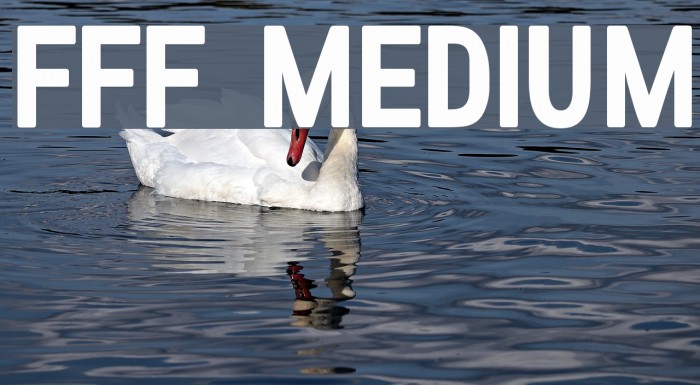 FFF Medium Example 2
