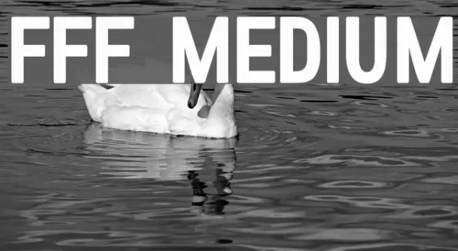 FFF Medium Font examples