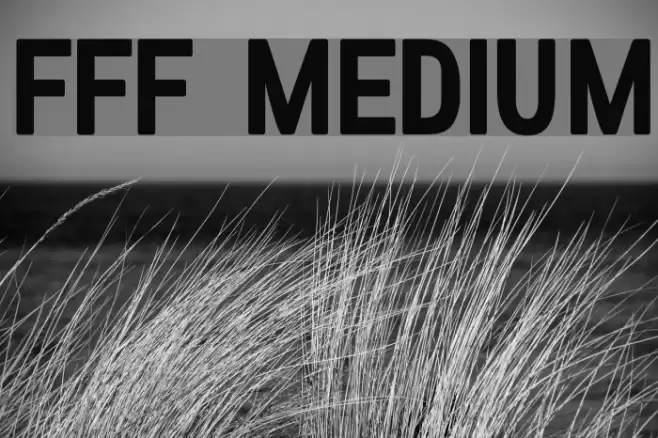 FFF Medium Font examples