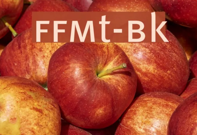 FFMt-Bk Example 1