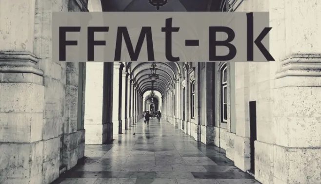 FFMt-Bk Example 2