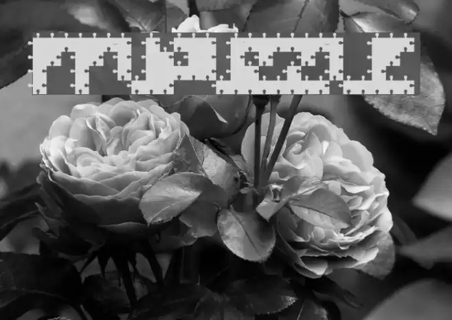 FFUPuzzle Font examples