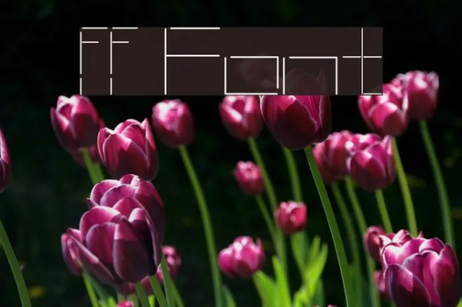 ff Example 1