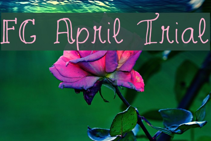 FG April Trial Font examples