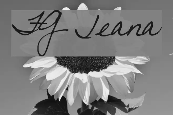 FG Jeana Font examples