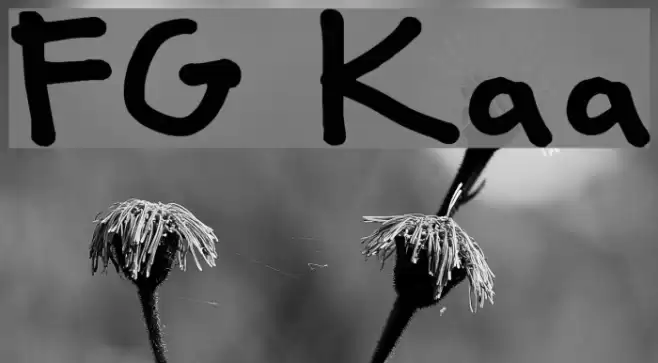 FG Klara Fonte examples