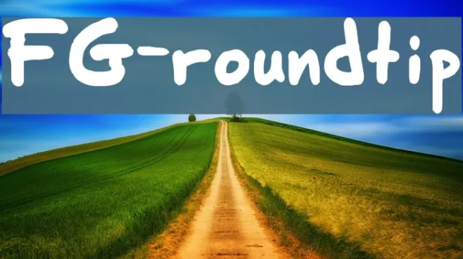 FG-roundtip Example 1