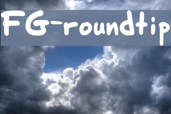 FG-roundtip Example 3