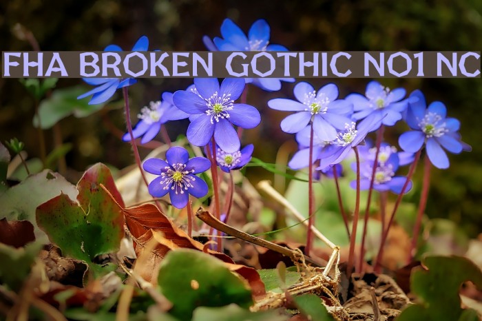 FHA Broken Gothic No1 NC Font examples