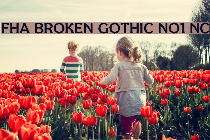 FHA Broken Gothic No1 NC Font examples