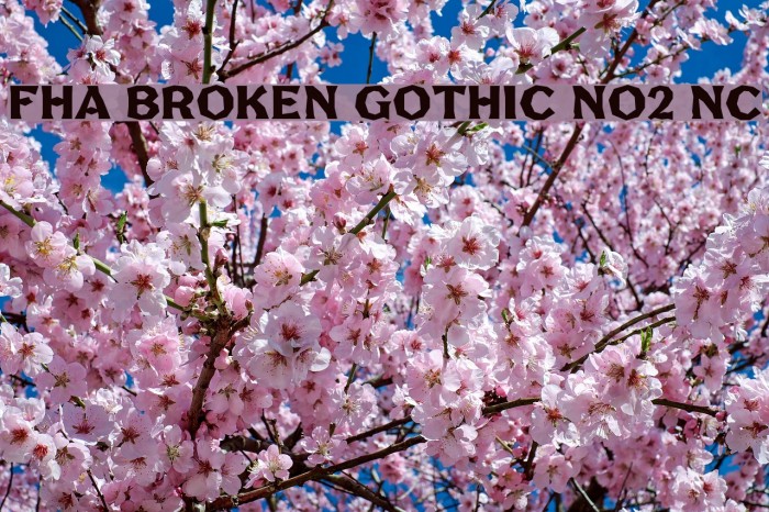 FHA Broken Gothic No2 NC Font examples