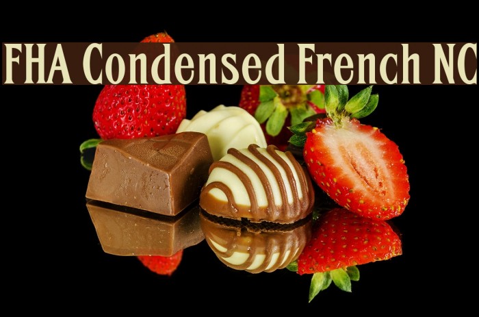 FHA Condensed French NC Font examples