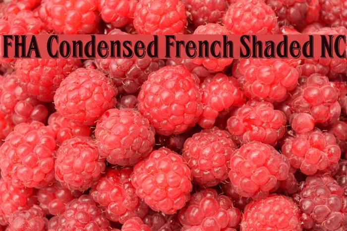 FHA Condensed French Shaded NC Font examples