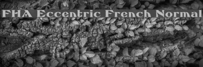 FHA Eccentric French Normal Font examples
