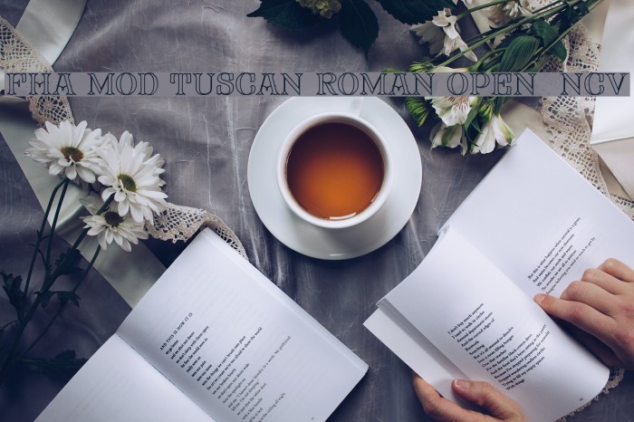FHA Mod Tuscan Roman Open NCV Font examples