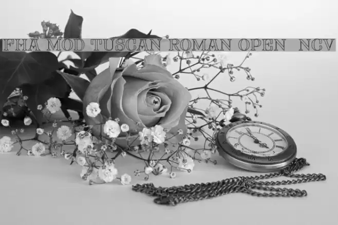 FHA Mod Tuscan Roman Open NCV Font examples