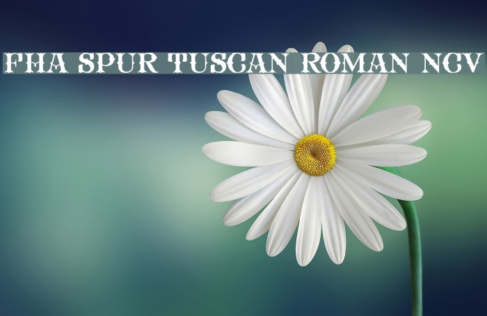 FHA Spur Tuscan Roman NCV Font examples