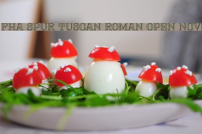 FHA Spur Tuscan Roman Open NCV フォント examples