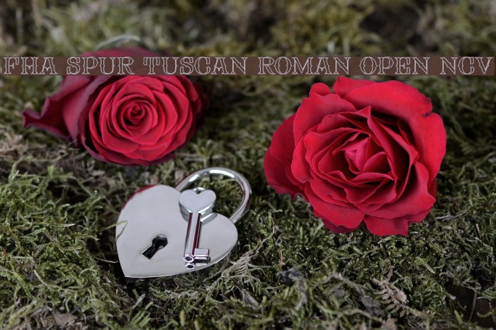 FHA Spur Tuscan Roman Open NCV フォント examples