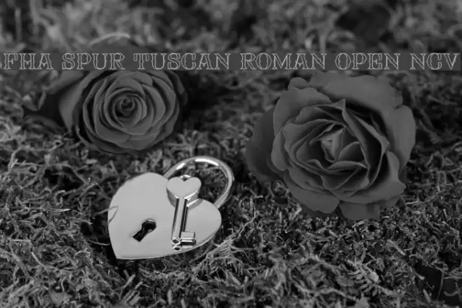 FHA Spur Tuscan Roman Open NCV Font examples