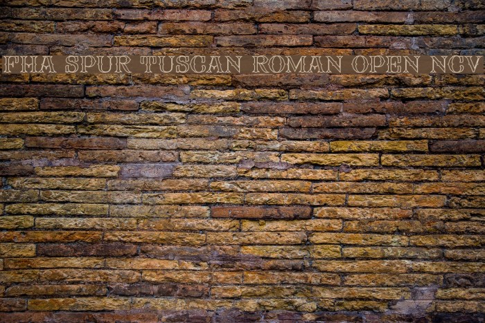 FHA Spur Tuscan Roman Open NCV フォント examples