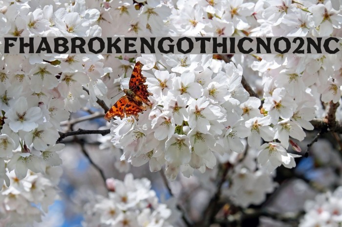 FHABrokenGothicNo2NC Font examples