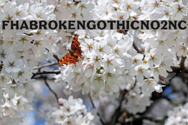 FHABrokenGothicNo2NC Example 3