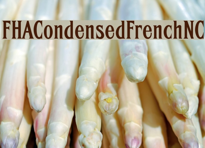 FHACondensedFrenchNC Font examples