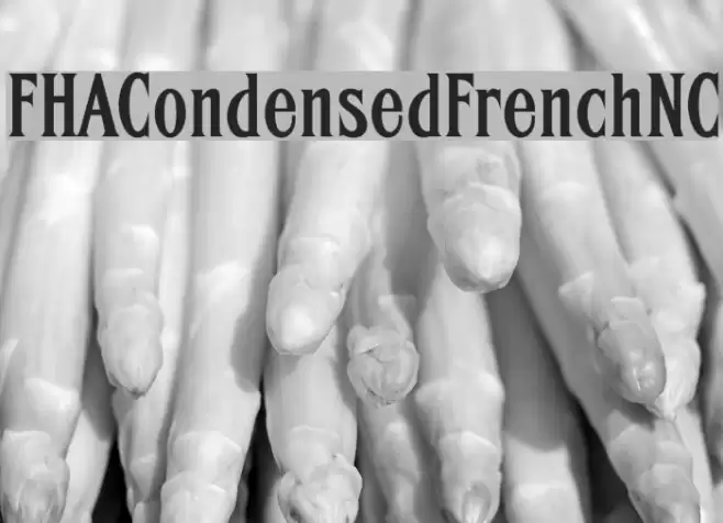 FHACondensedFrenchNC Font examples