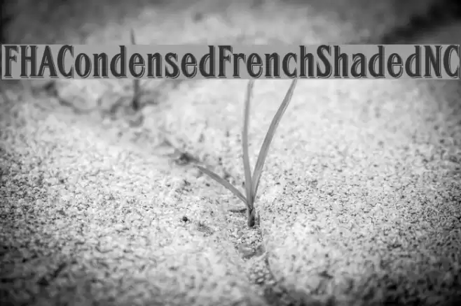 FHACondensedFrenchShadedNC Font examples
