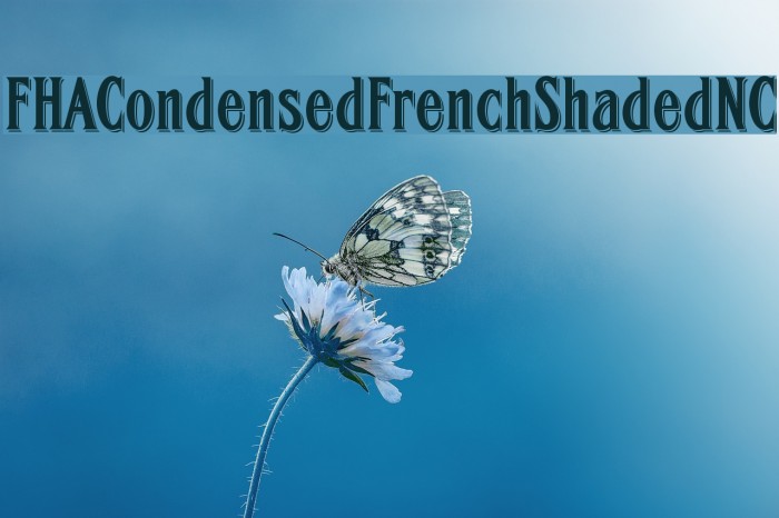 FHACondensedFrenchShadedNC Example 2