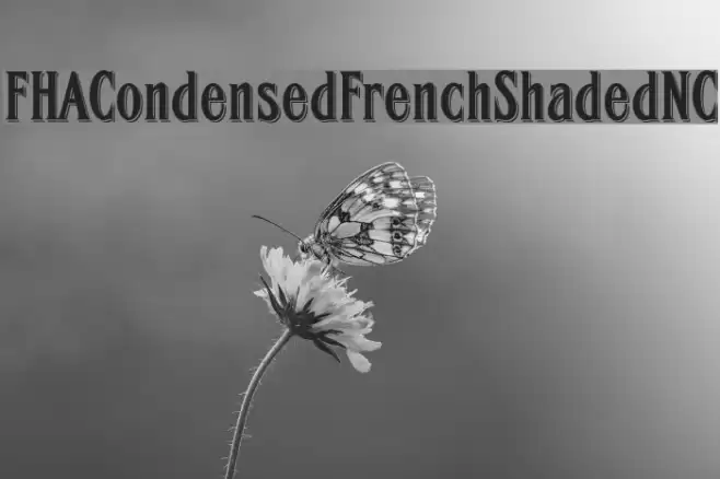 FHACondensedFrenchShadedNC Font examples
