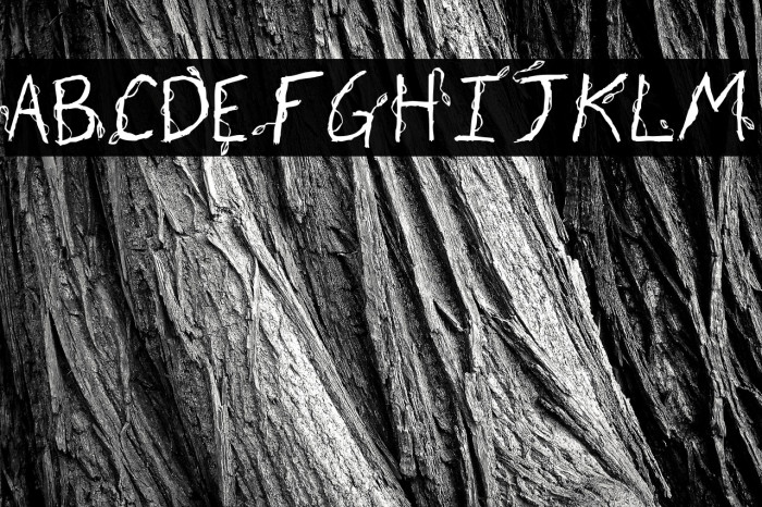 Fh_Euphoria Example 1