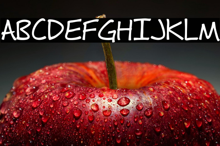 Fh_Hyperbole-Bold Example 3