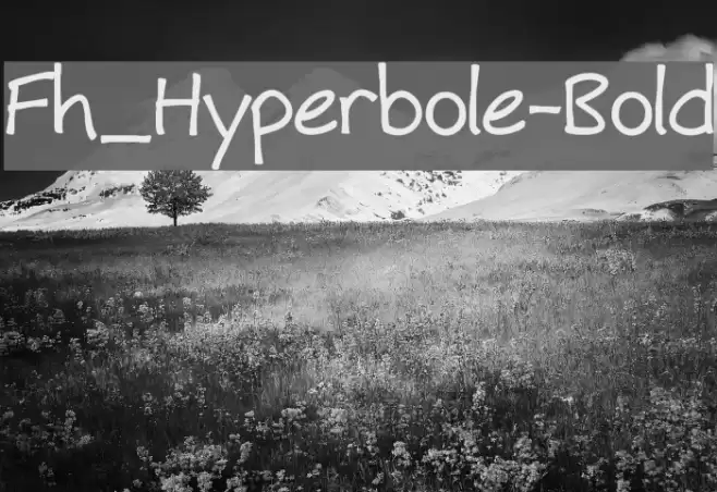 Fh_Hyperbole-Bold Font examples