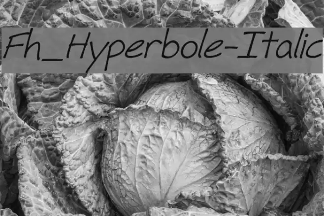 Fh_Hyperbole-Italic Font examples